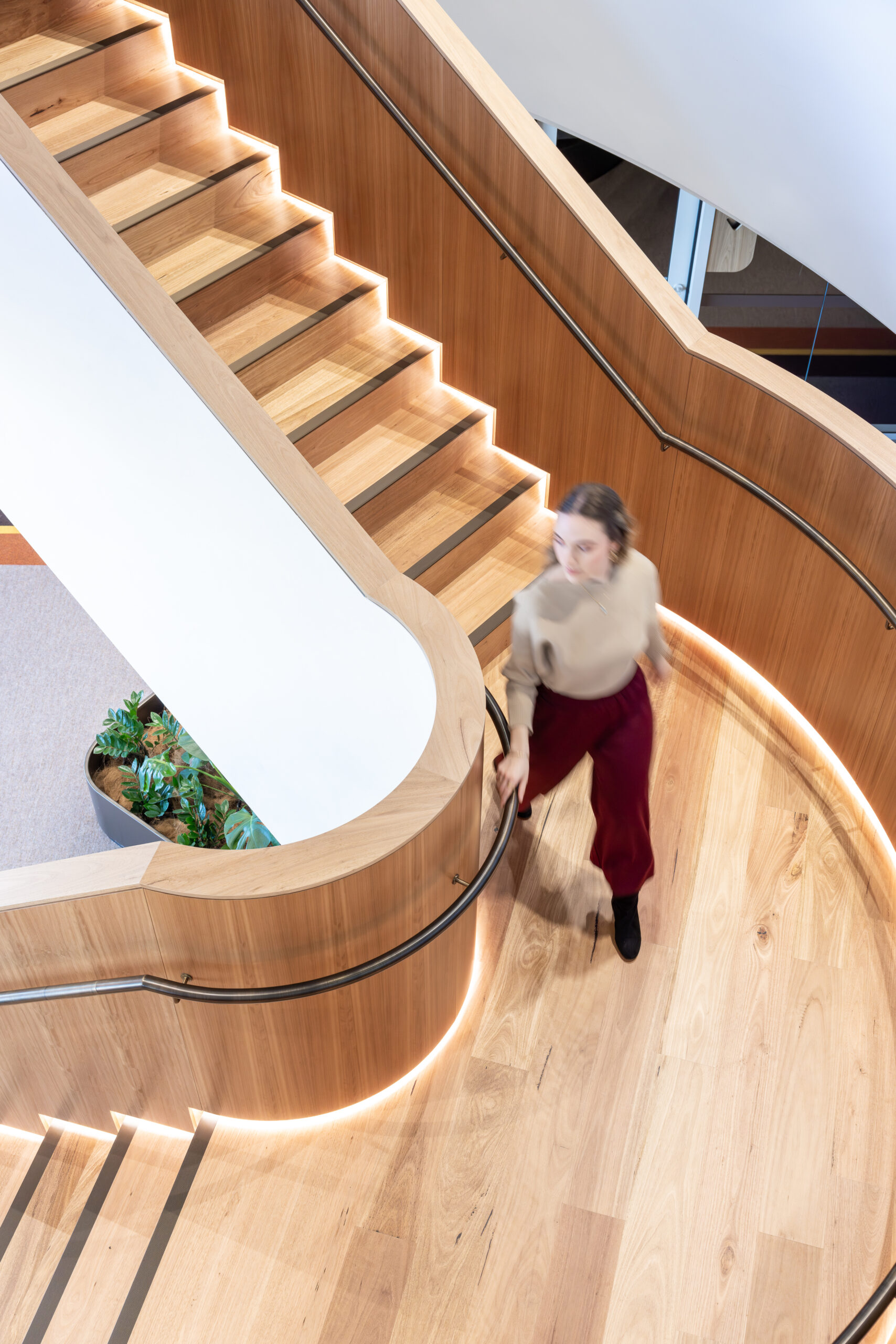 A person walks down a modern, curved wooden staircase with surface mount stair nosins and glowing underlighting. The space is bright.